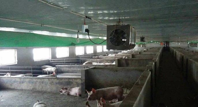 1617931866230168.jpg 養豬場臭氧機.jpg