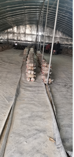 1638231885570528.png image.png