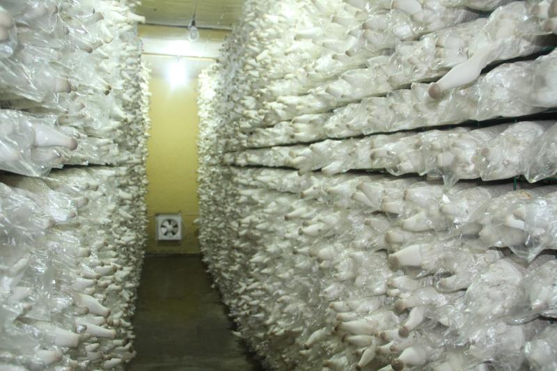 1645063499850895.jpg f582a70ec148ceeb75835d7547aacfc.jpg